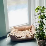 Feriendomizil Moehne I Hundefreundlich I Sauna I Seenaehe Möhnesee