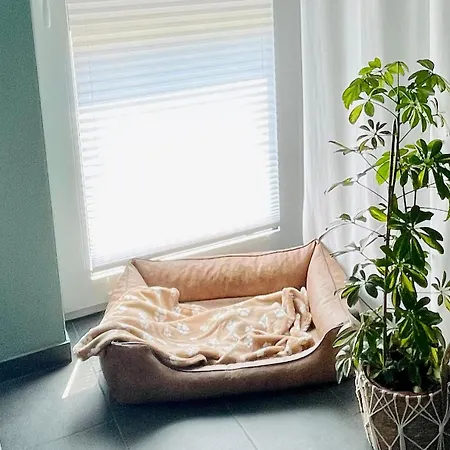 Feriendomizil Möhne Mit Seeblick Und Sauna Möhnesee