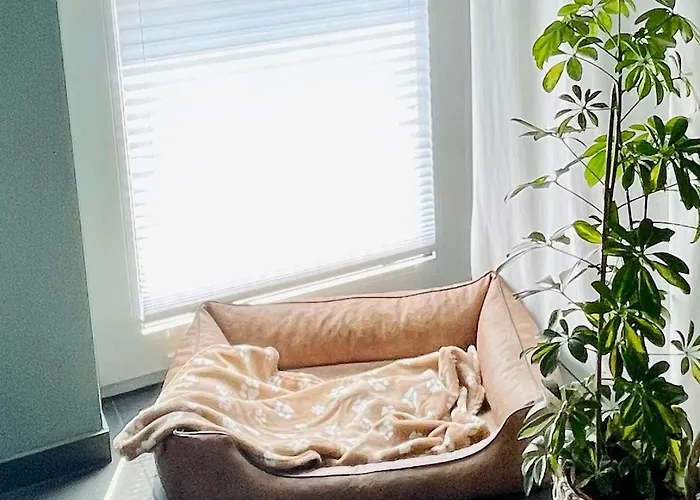 Feriendomizil Moehne I Hundefreundlich I Sauna I Seenaehe Möhnesee